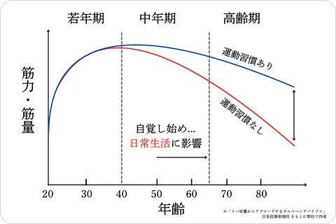 年齢と筋力・筋量の相関図