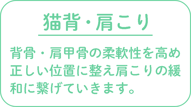 基礎体力・身体能力